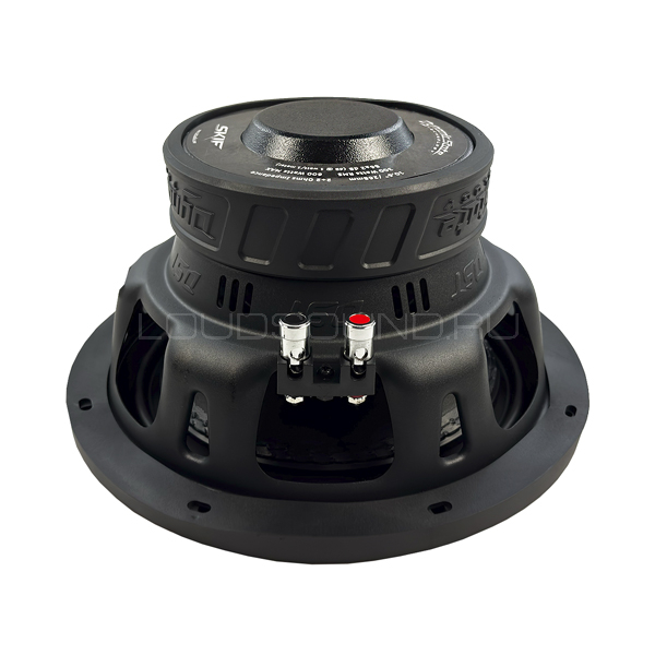 Dynamic State Skif SKW-252 10" D2 — изображение 3